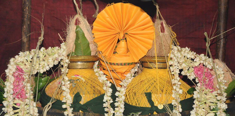 special pooja/homam