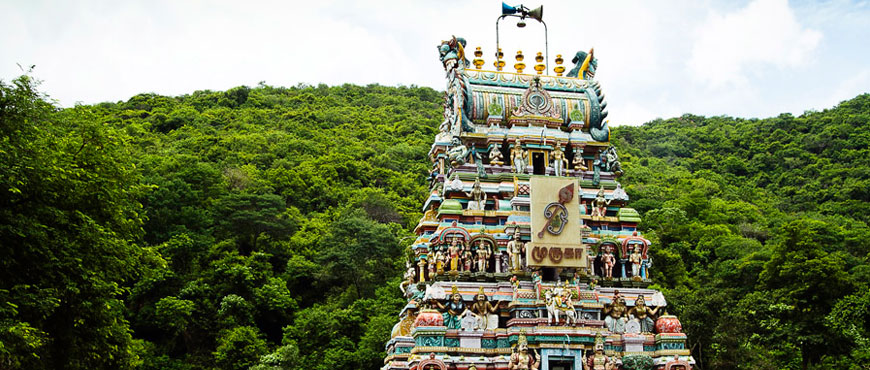 murugan temple tour